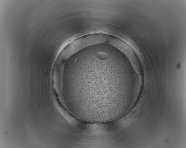 X0000090731234200707271356