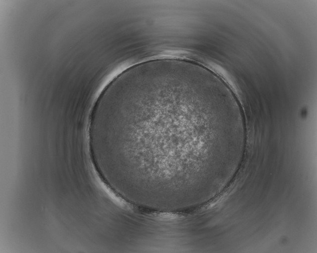 X0000090731235200707271356