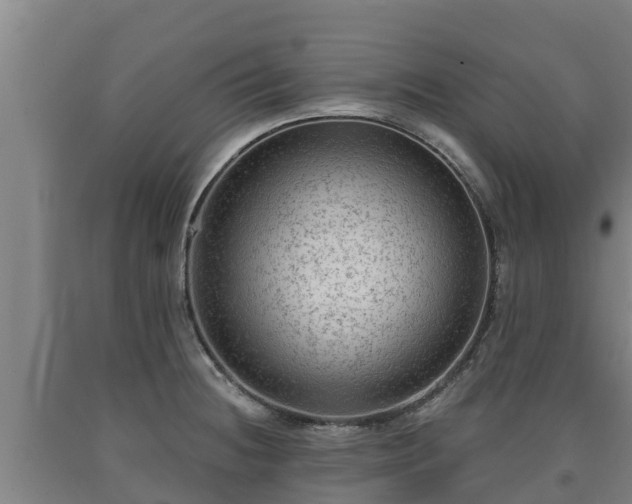 X0000090731236200707271356