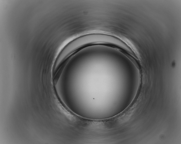 X0000090731238200707271356
