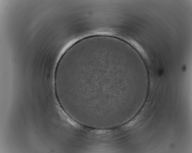 X0000090731240200707271356