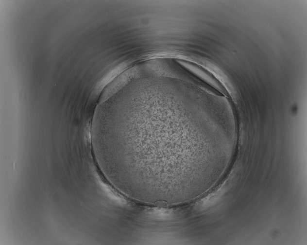 X0000090731241200707271356