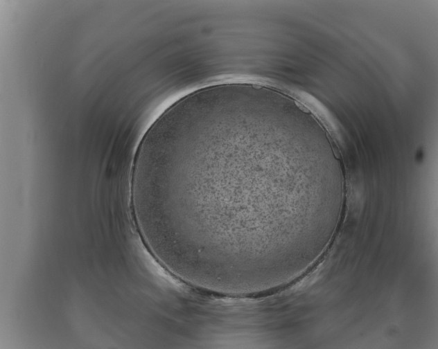 X0000090731244200707271356
