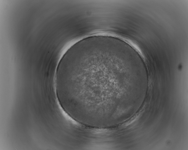 X0000090731247200707271356