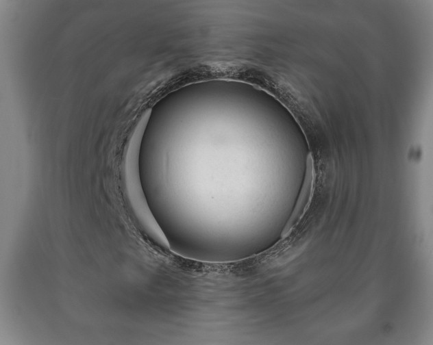 X0000090731249200707271356