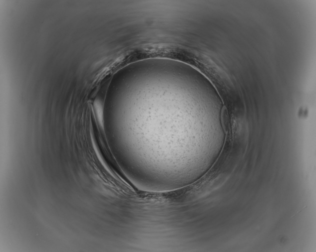 X0000090731250200707271356