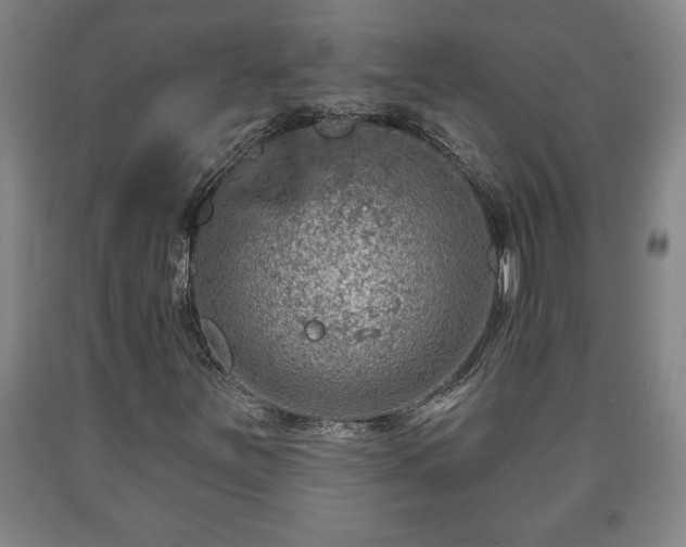 X0000090731251200707271356