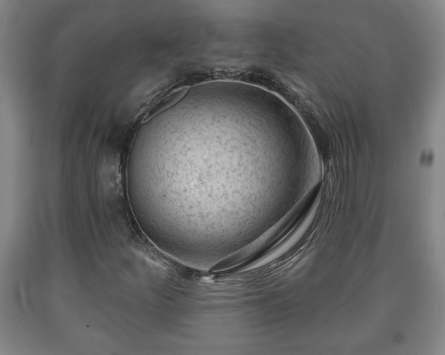 X0000090731252200707271356