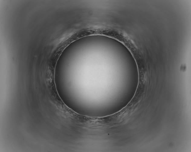 X0000090731253200707271356