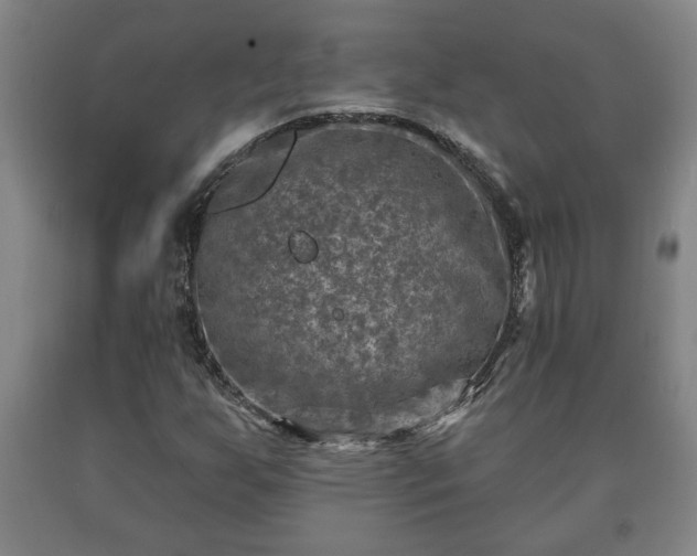 X0000090731255200707271356