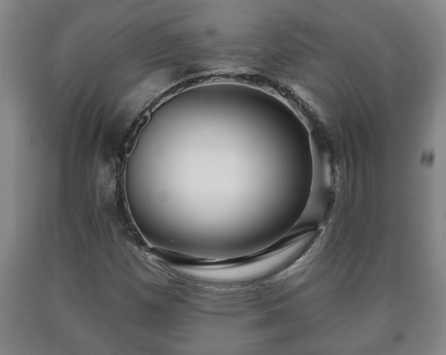 X0000090731257200707271355
