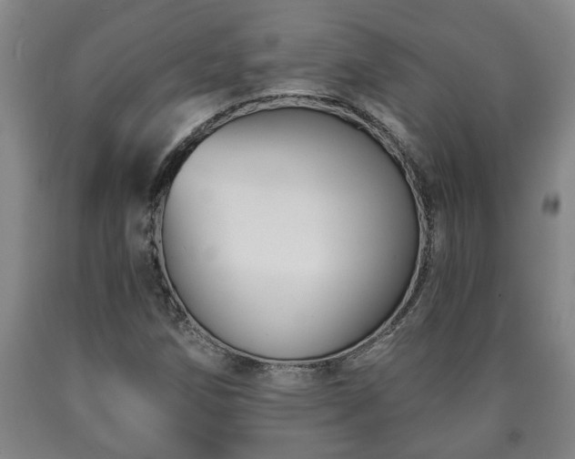 X0000090731258200707271355