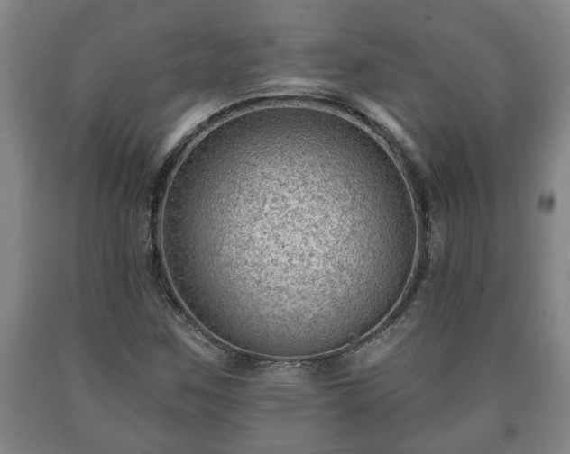 X0000090731259200707271355