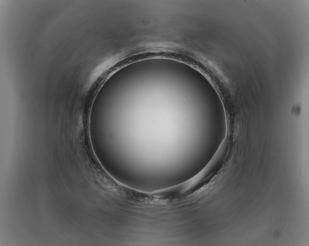 X0000090731261200707271355