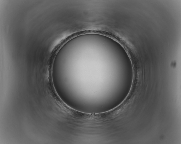 X0000090731262200707271355