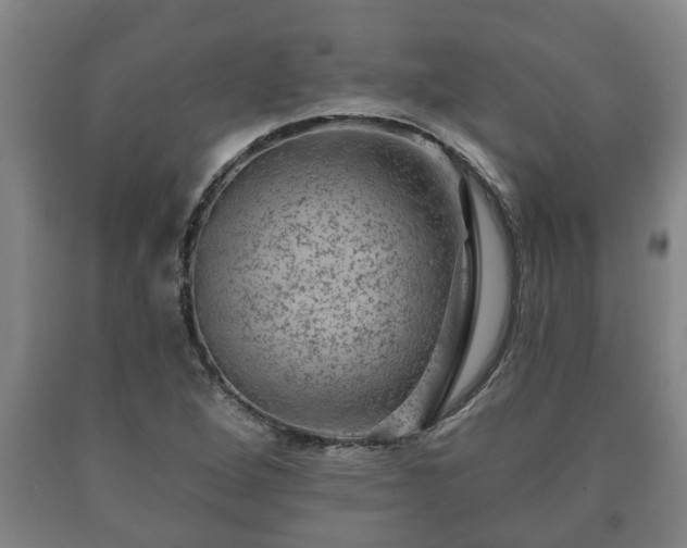 X0000090731264200707271355
