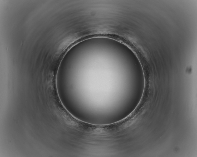X0000090731265200707271355