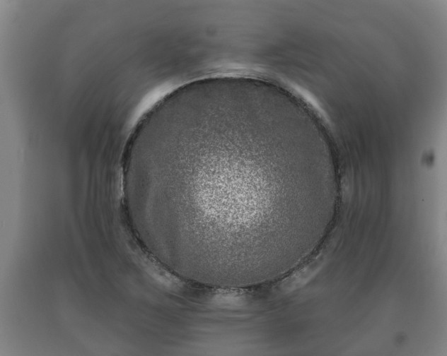 X0000090731267200707271355