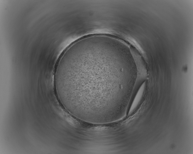 X0000090731268200707271355