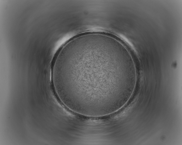 X0000090731269200707271355