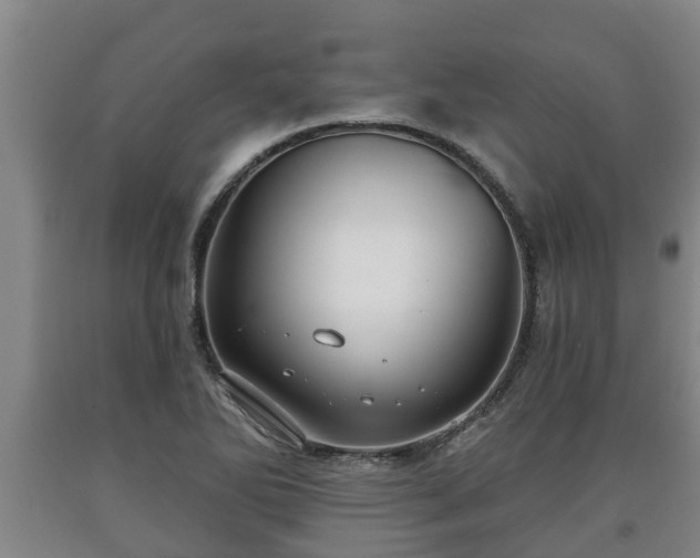X0000090731270200707271355