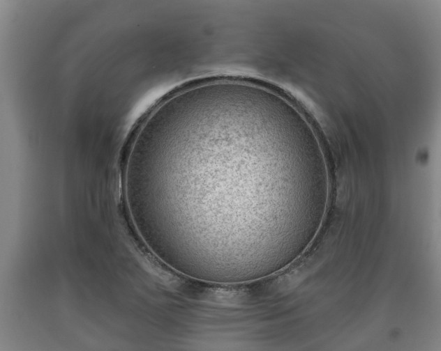 X0000090731271200707271355