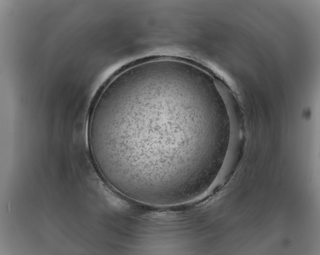 X0000090731272200707271355