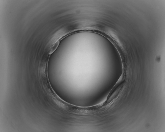 X0000090731273200707271355