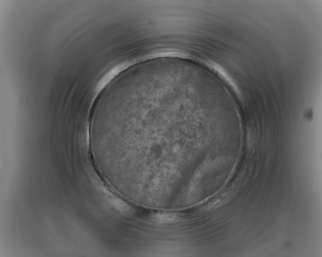 X0000090731274200707271355