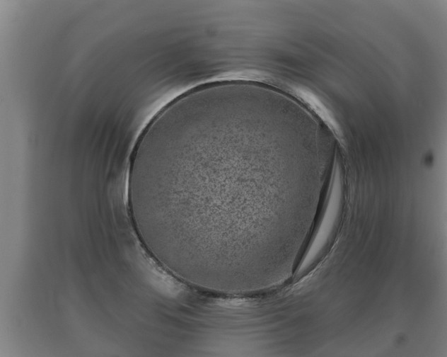 X0000090731276200707271355