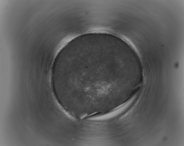 X0000090731277200707271355