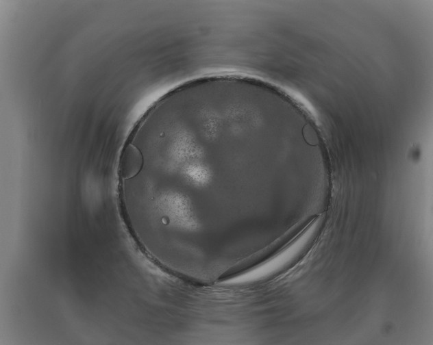 X0000090731279200707271355