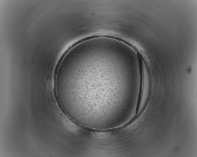X0000090731280200707271355