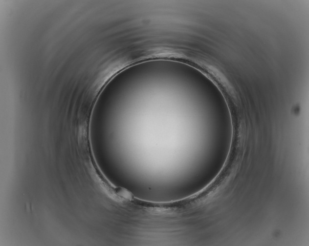 X0000090731281200707271355