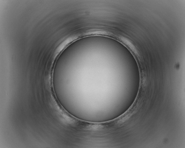 X0000090731282200707271355