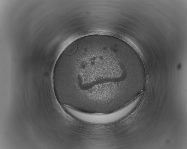 X0000090731283200707271355