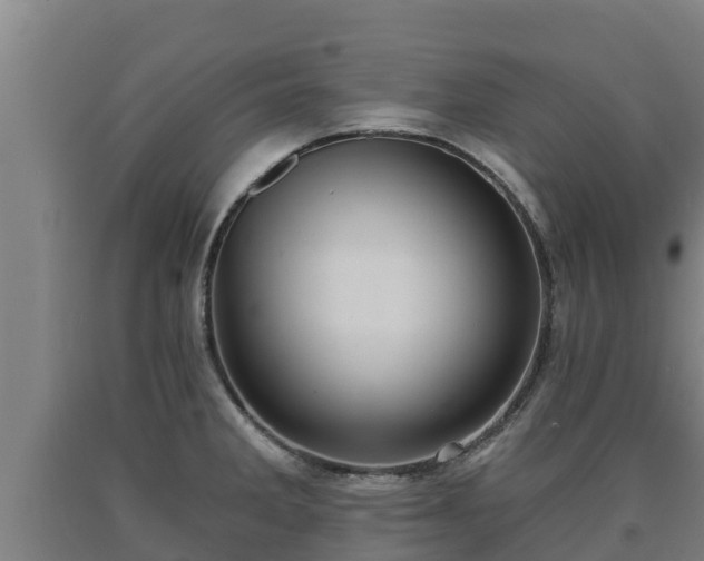 X0000090731285200707271355