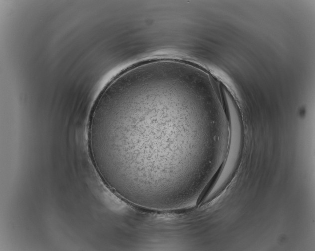 X0000090731288200707271355