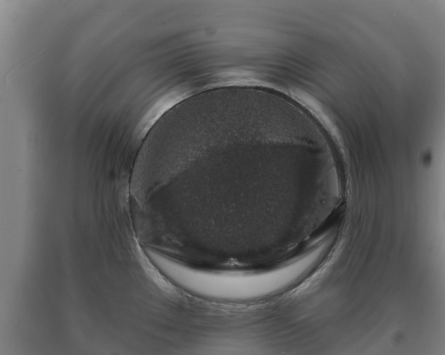 X0000090731289200707271355