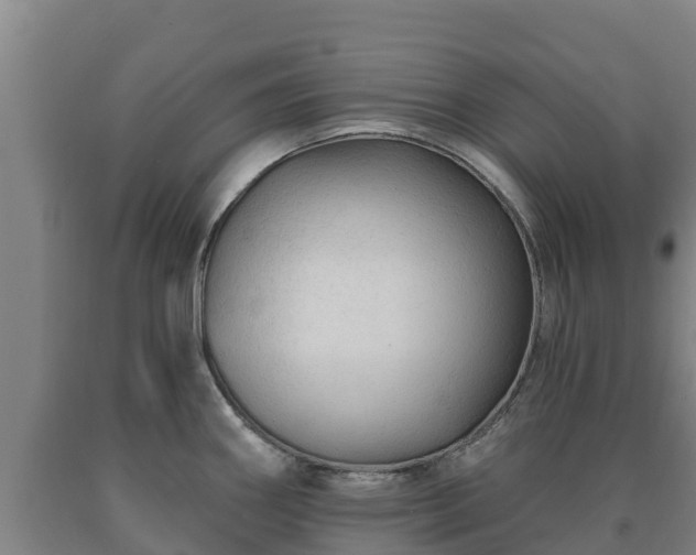 X0000090731290200707271355