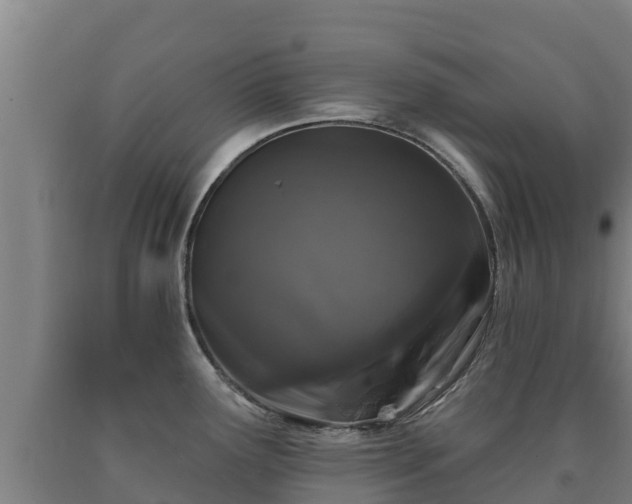 X0000090731291200707271355
