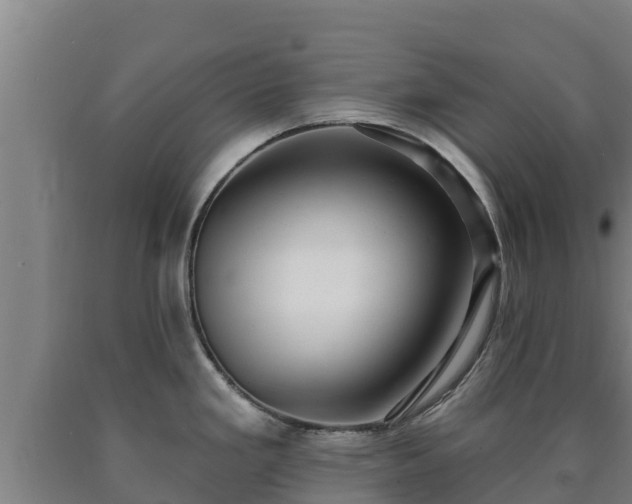 X0000090731293200707271355