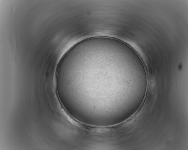X0000090731294200707271355