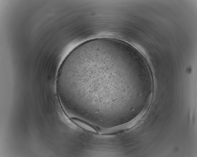 X0000090731296200707271355