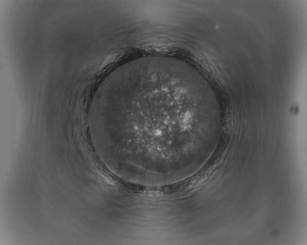 X0000090731297200707271354