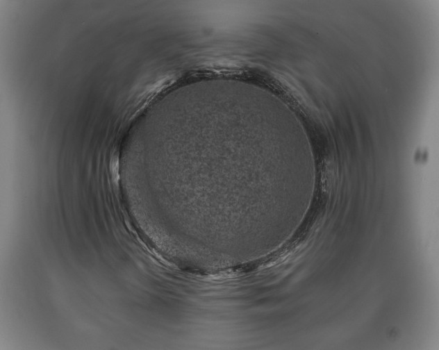 X0000090731298200707271354