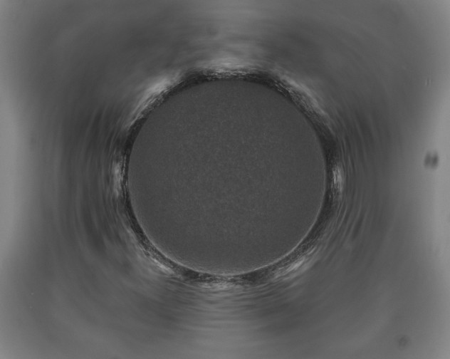 X0000090731300200707271354