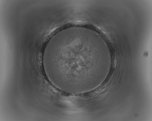 X0000090731301200707271354