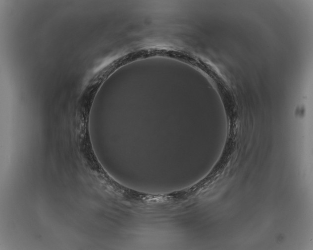 X0000090731303200707271354