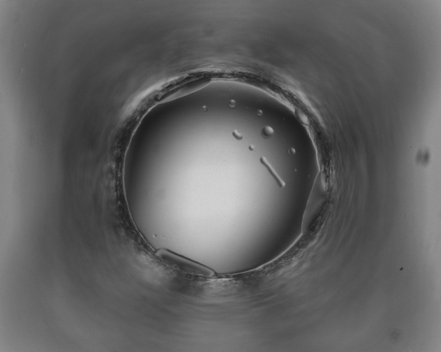 X0000090731304200707271354